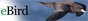 eBird